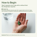 Seed DS-01 Synbiotic Probiotic + Prebiotic

