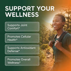 Clean Nutraceuticals Antioxidant Support Supplement

