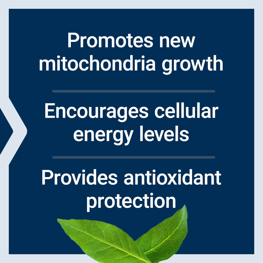 Life Extension PQQ 20 mg Supplement for Mitochondria

