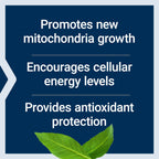 Life Extension PQQ 20 mg Supplement for Mitochondria

