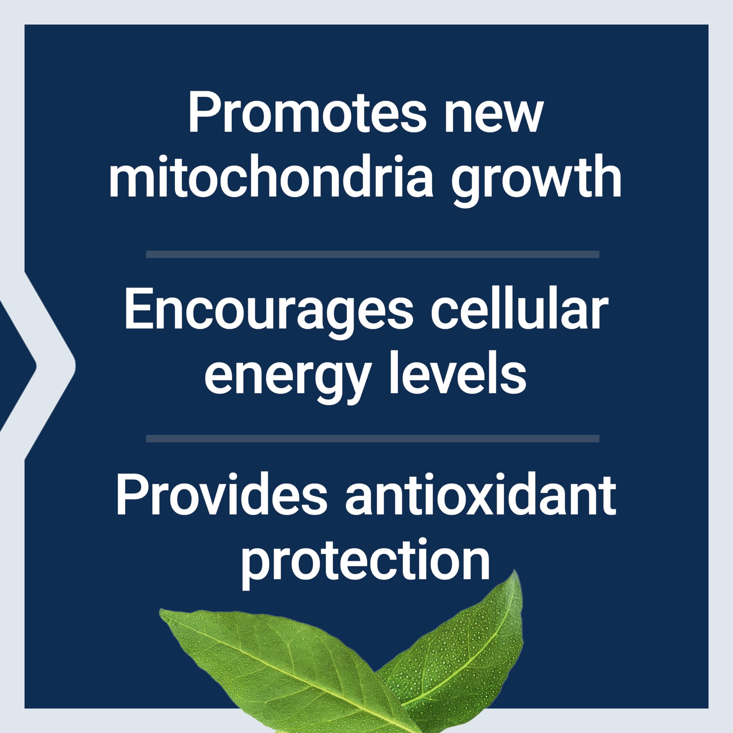 Life Extension PQQ 20 mg Supplement for Mitochondria

