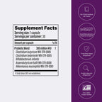 Pendulum Metabolic Daily Probiotic with Akkermansia

