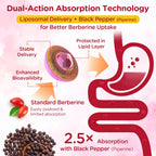 Berberine Gummies for Metabolic Support

