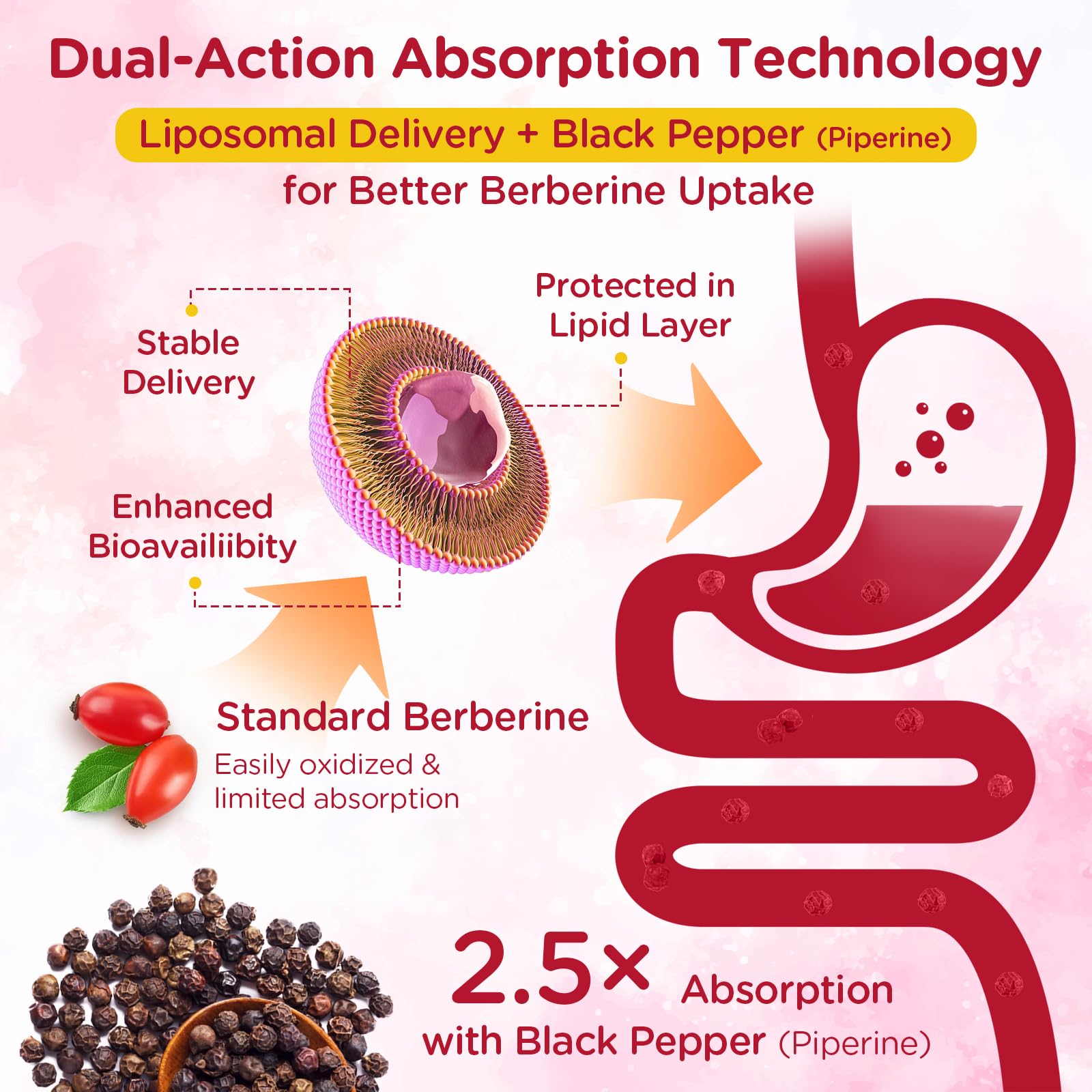 Berberine Gummies for Metabolic Support

