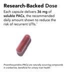 Theralogix TheraCran Cranberry Capsules for Urinary Health

