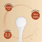 NatureBell Creatine Monohydrate Powder Micronized Unflavored

