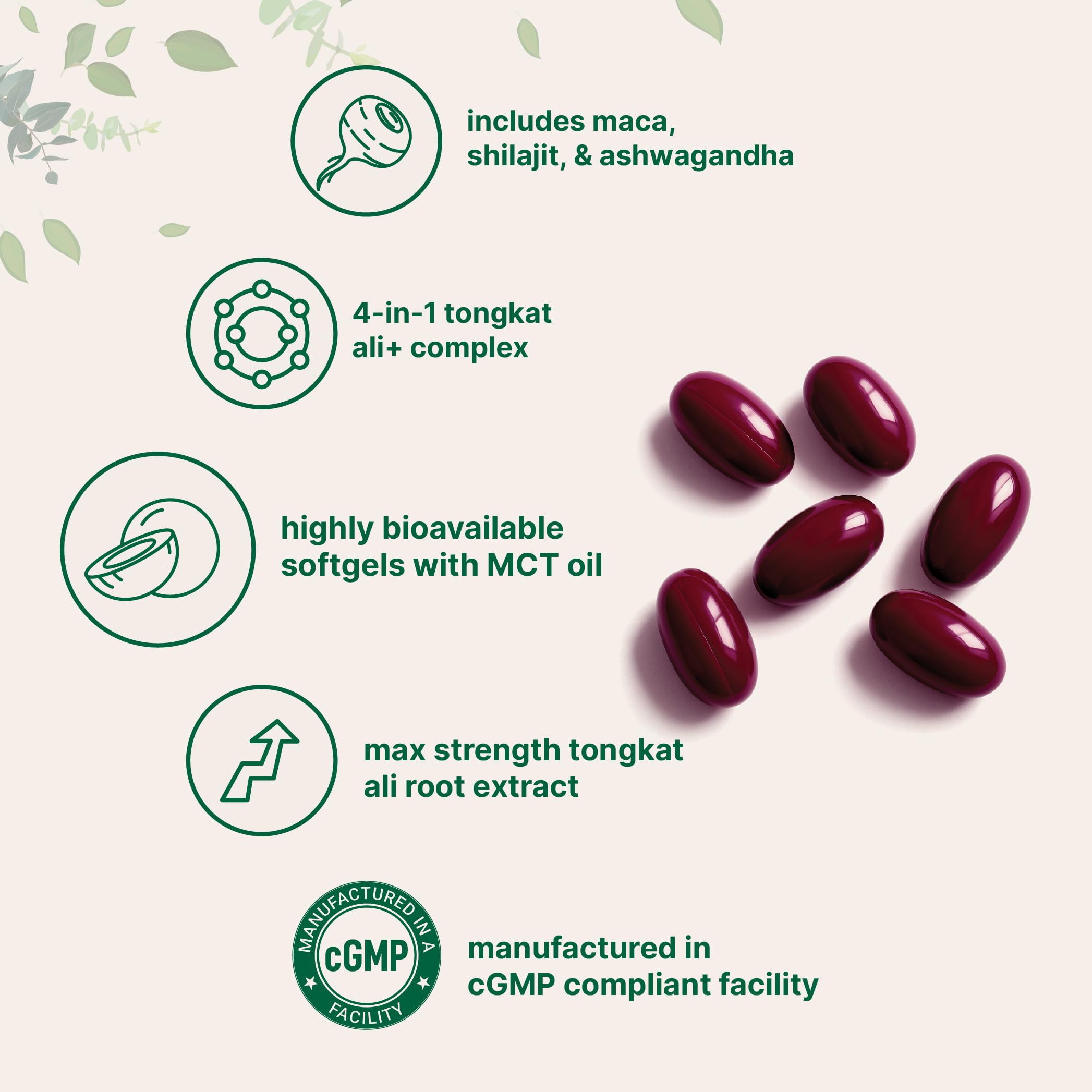 Micro Ingredients Tongkat Ali+ for Men Herbal Supplement

