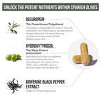 Olive Leaf Extract & Olive Fruit Extract by Total Olive

