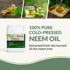 Neem Oil Concentrate by Plantonix - Pure Unrefined


