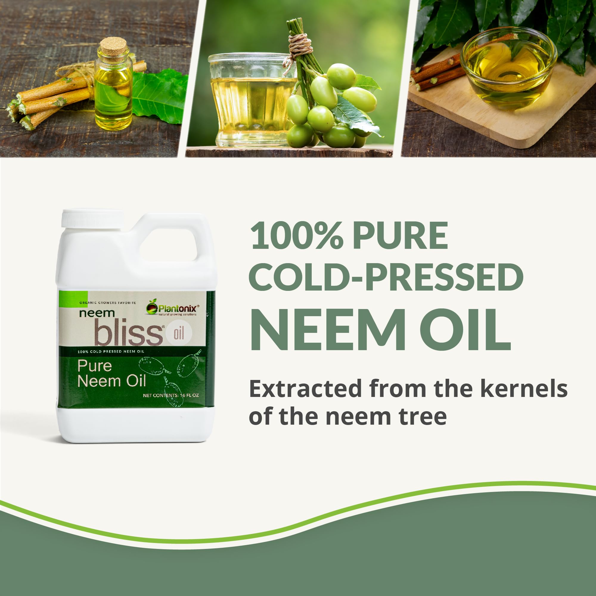 Neem Oil Concentrate by Plantonix - Pure Unrefined

