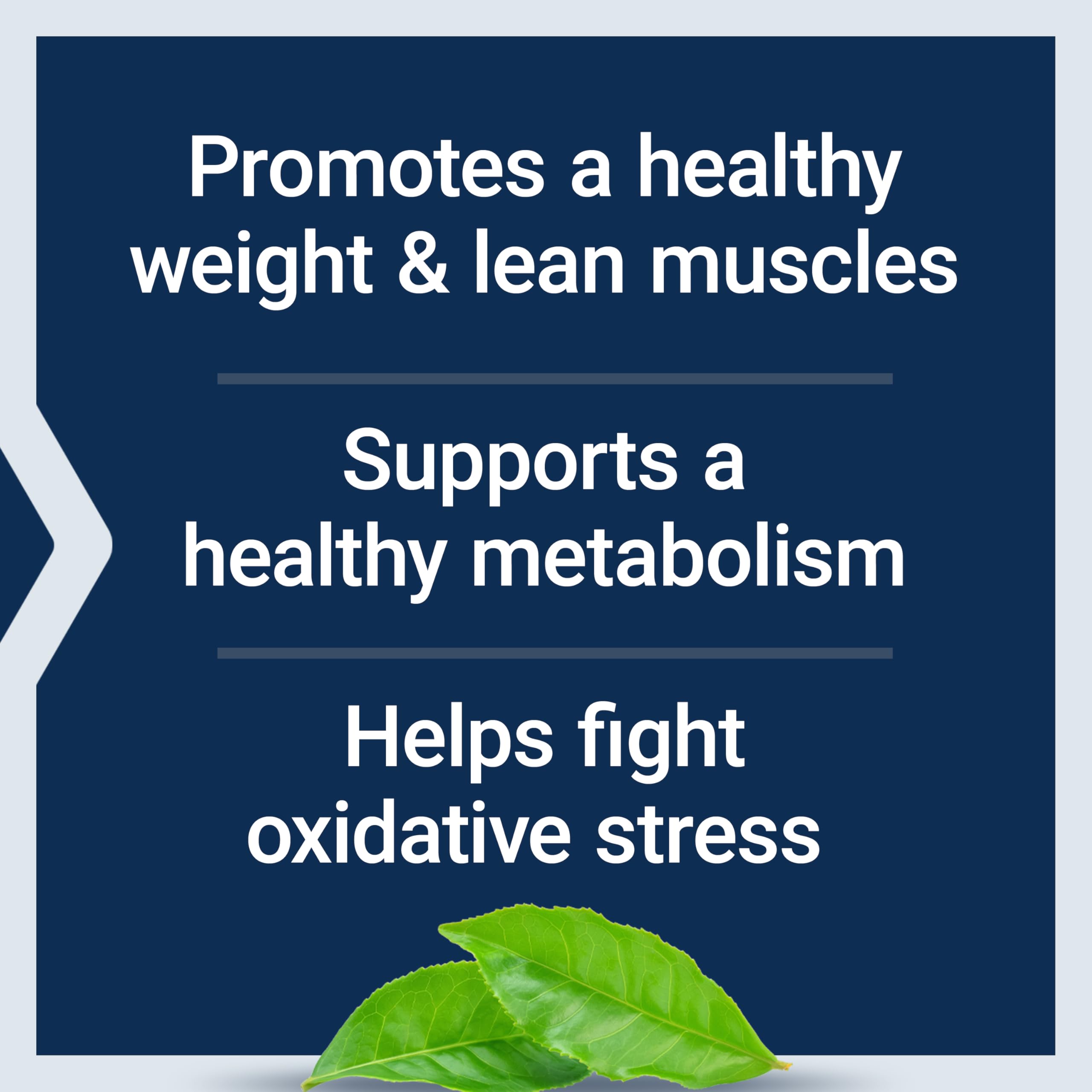 Life Extension 7-Keto DHEA Metabolite Supplement

