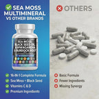 Clean Nutra 15-in-1 Sea Moss & Black Seed Oil

