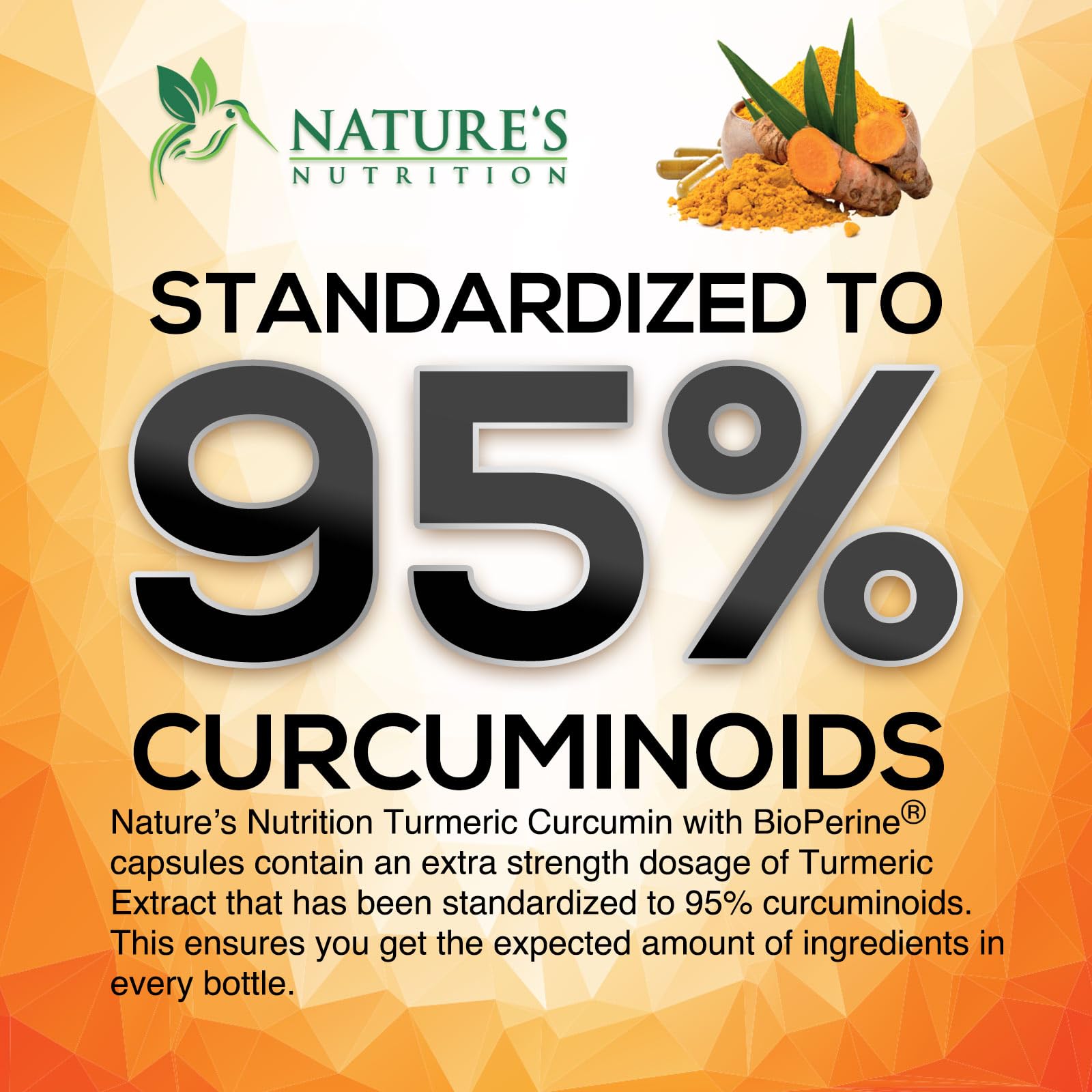 Nature's Nutrition Turmeric Curcumin - Absorption


