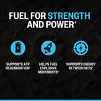 ONNIT Creatine Monohydrate Powder - Unflavored

