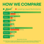 Nature's Way Alive! Max Potency Liquid Multivitamin | Energy

