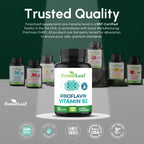 ForestLeaf Vitamin B2 Riboflavin 400mg Capsules for Energy

