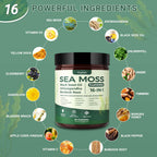 Sea Moss Gummies with Bladderwrack – Immune & Digestion

