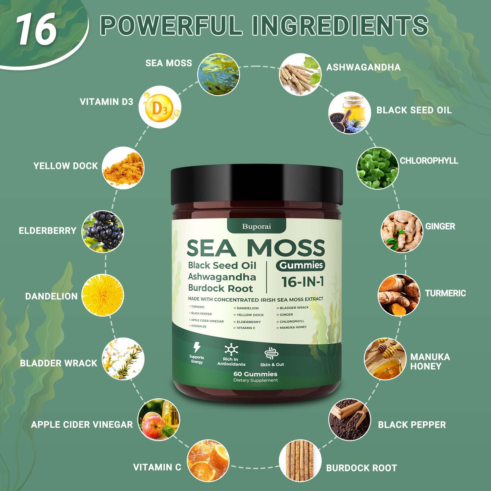 Sea Moss Gummies with Bladderwrack – Immune & Digestion

