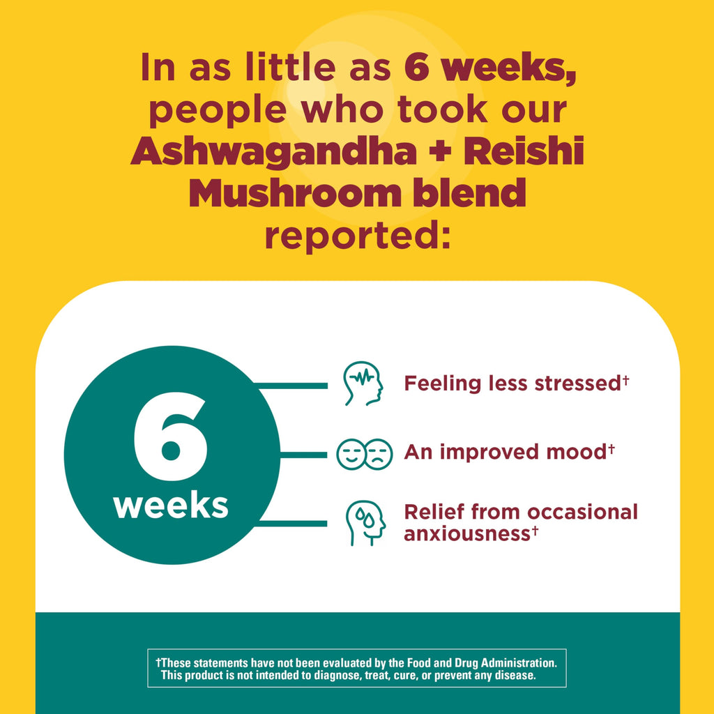 Nature Made Ashwagandha and Reishi Capsules | Calm Support

