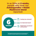 Nature Made Ashwagandha and Reishi Capsules | Calm Support


