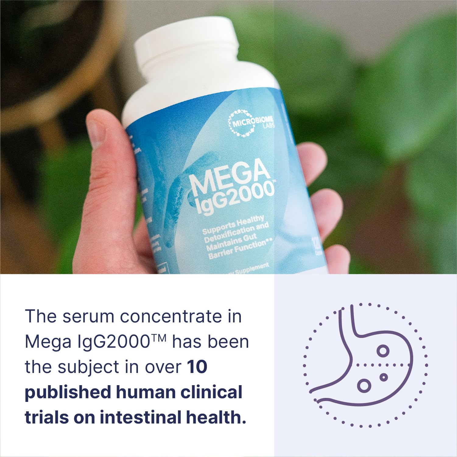 Microbiome Labs Mega IgG2000 Dairy-Free Colostrum IgG


