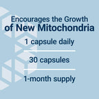 Life Extension PQQ 20 mg Supplement for Mitochondria

