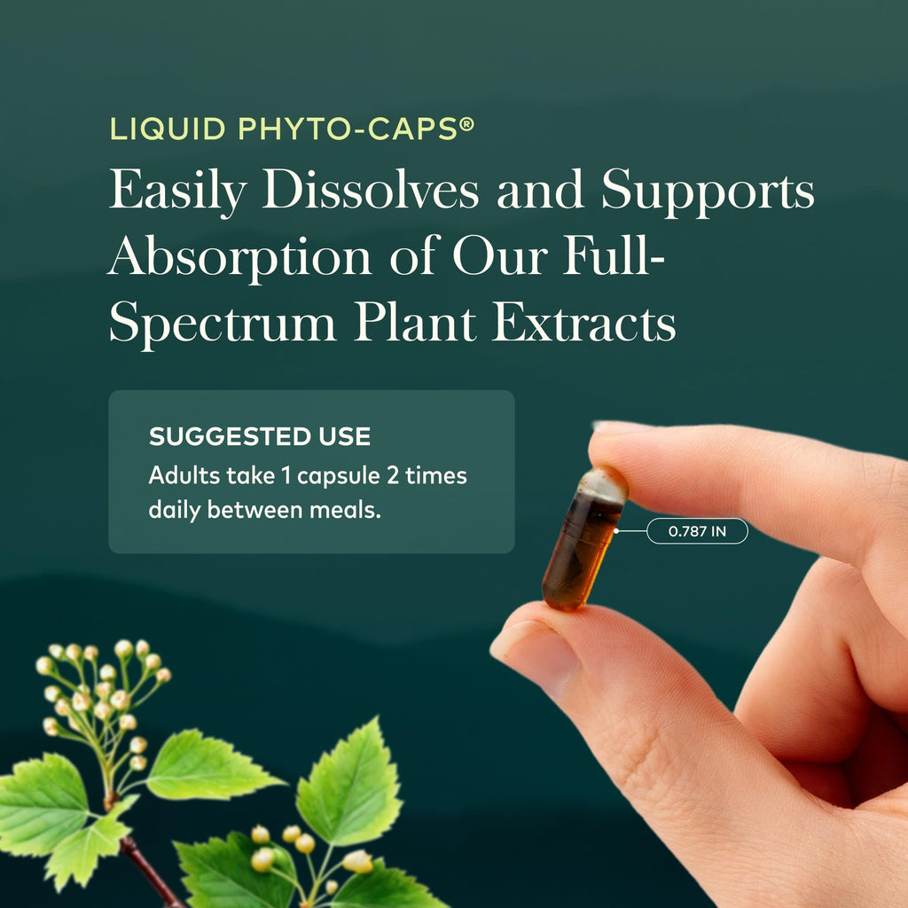 Gaia Herbs Rhodiola Rosea Stress Support Supplement

