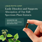 Gaia Herbs Rhodiola Rosea Stress Support Supplement

