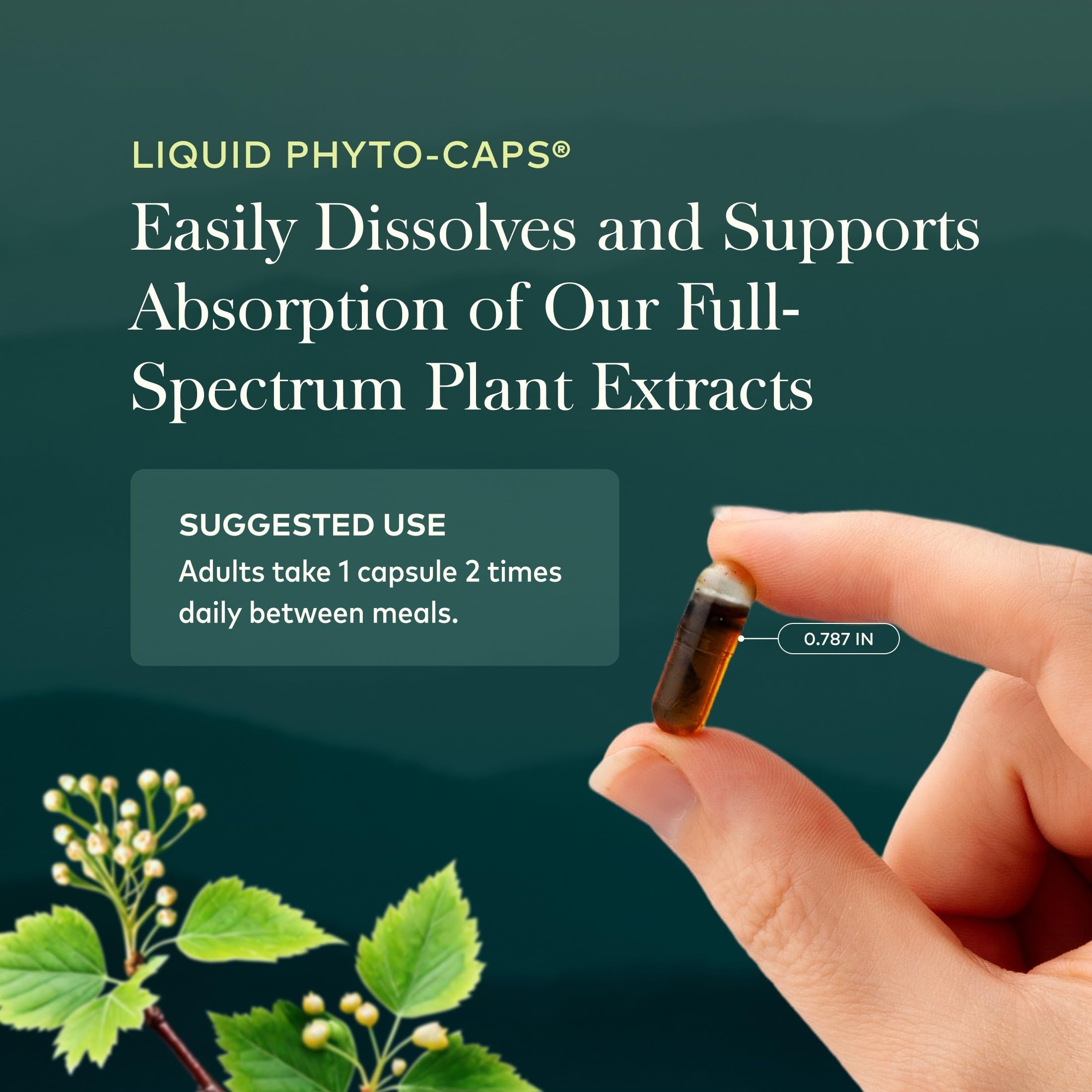 Gaia Herbs Rhodiola Rosea Stress Support Supplement

