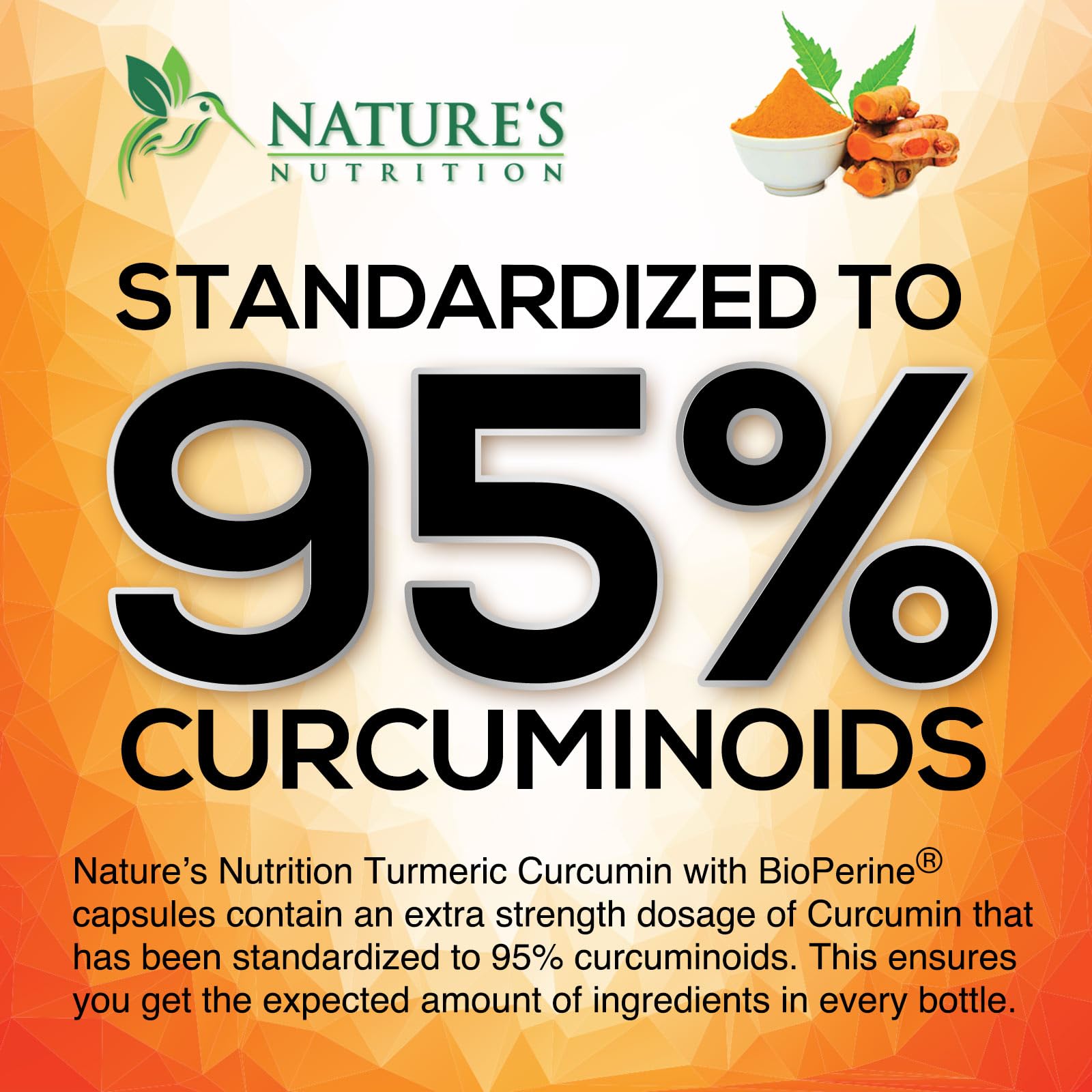 Turmeric Curcumin Supplement with BioPerine for Absorption

