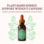Herbs Etc. ChlorOxygen Chlorophyll Drops Alcohol-Free


