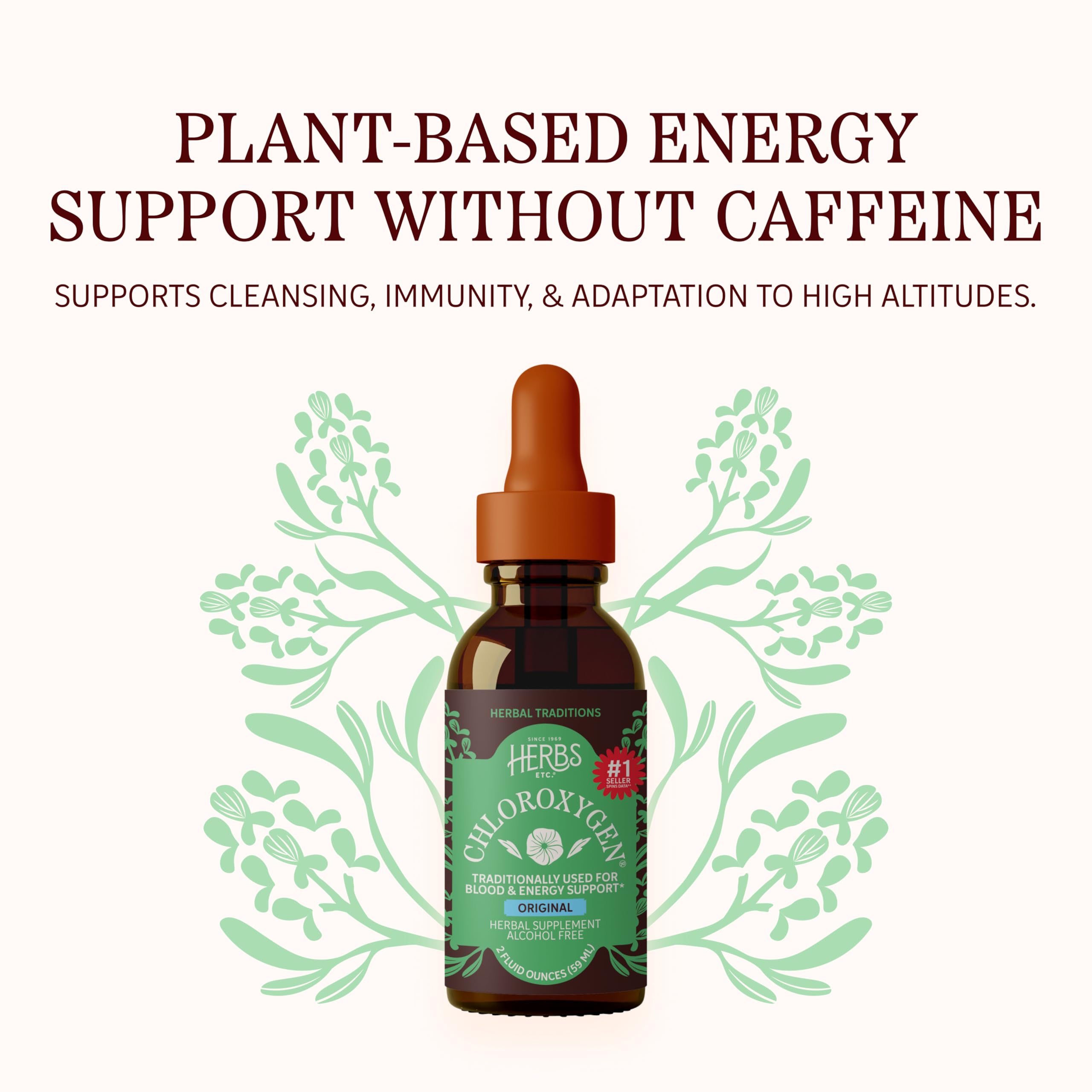 Herbs Etc. ChlorOxygen Chlorophyll Drops Alcohol-Free

