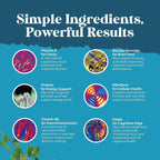 Nootropic Brain Supplement for Memory and Focus

