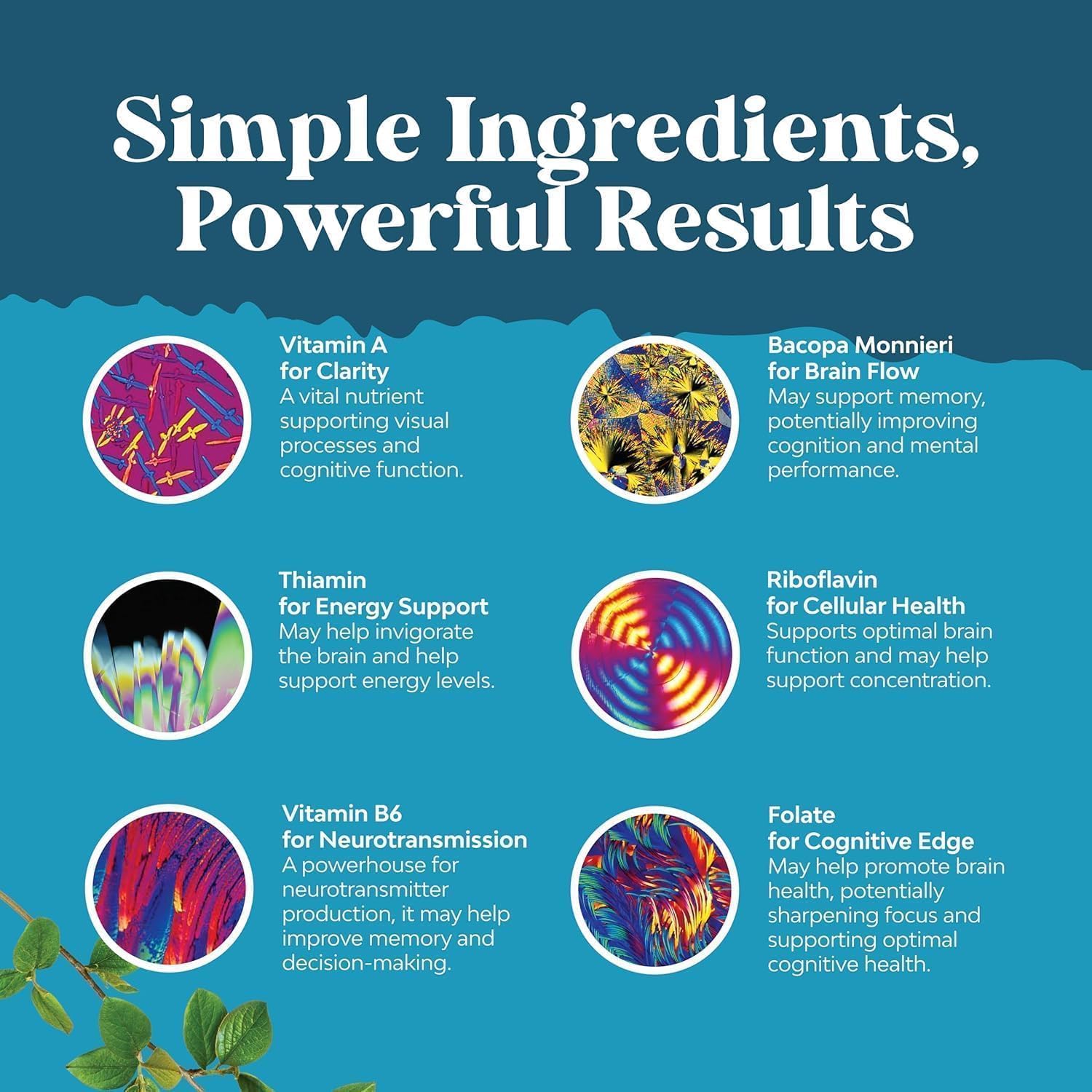 Nootropic Brain Supplement for Memory and Focus

