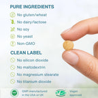 Igennus High Absorption Super B-Complex|Bioactive B Vitamins

