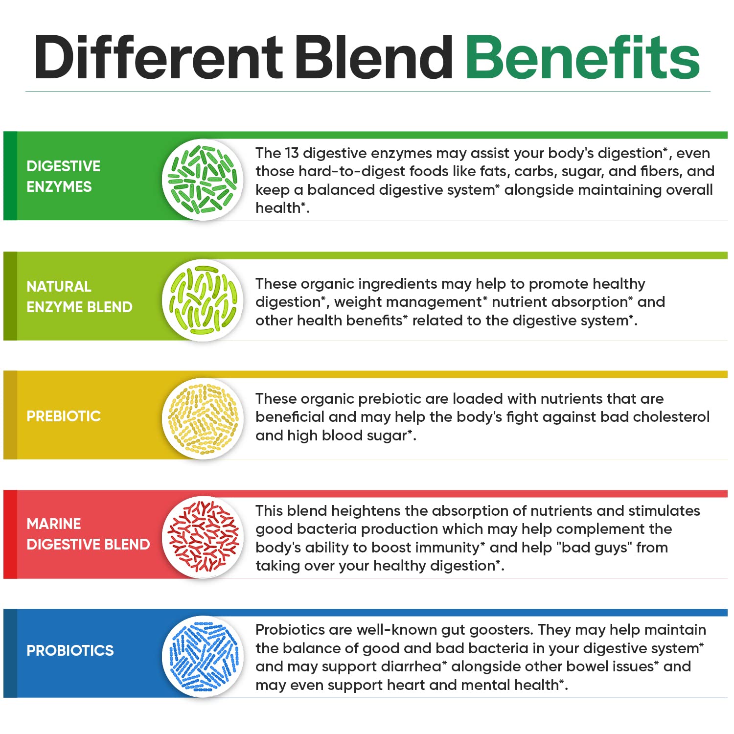 Wholesome Wellness Digestive Enzymes with Probiotics

