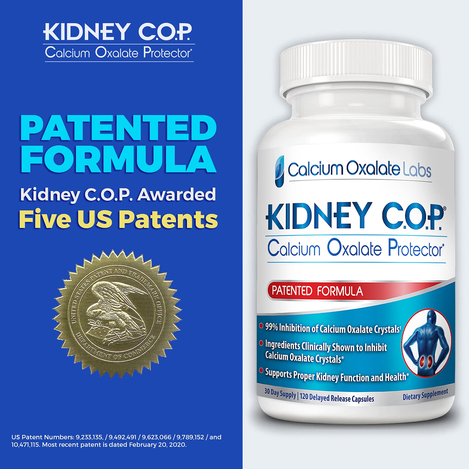 KIDNEY C.O.P. Calcium Oxalate Protector Capsules

