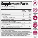 Auri Nutrition Focus Gummies - Cognitive Support

