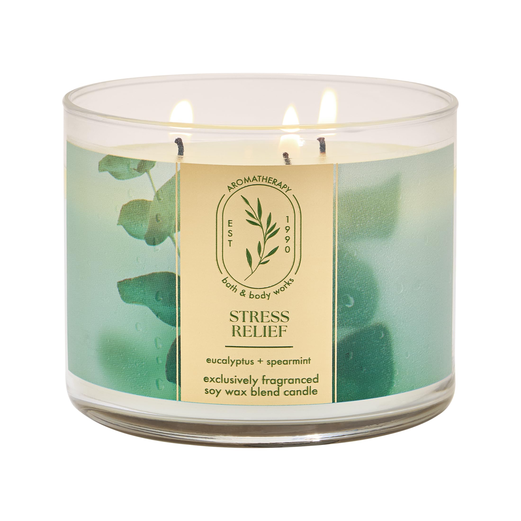 Bath & Body Works 3-Wick Candle Soy Wax Blend

