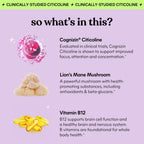 Lemme Focus Concentration Gummies | Cognizin Citicoline

