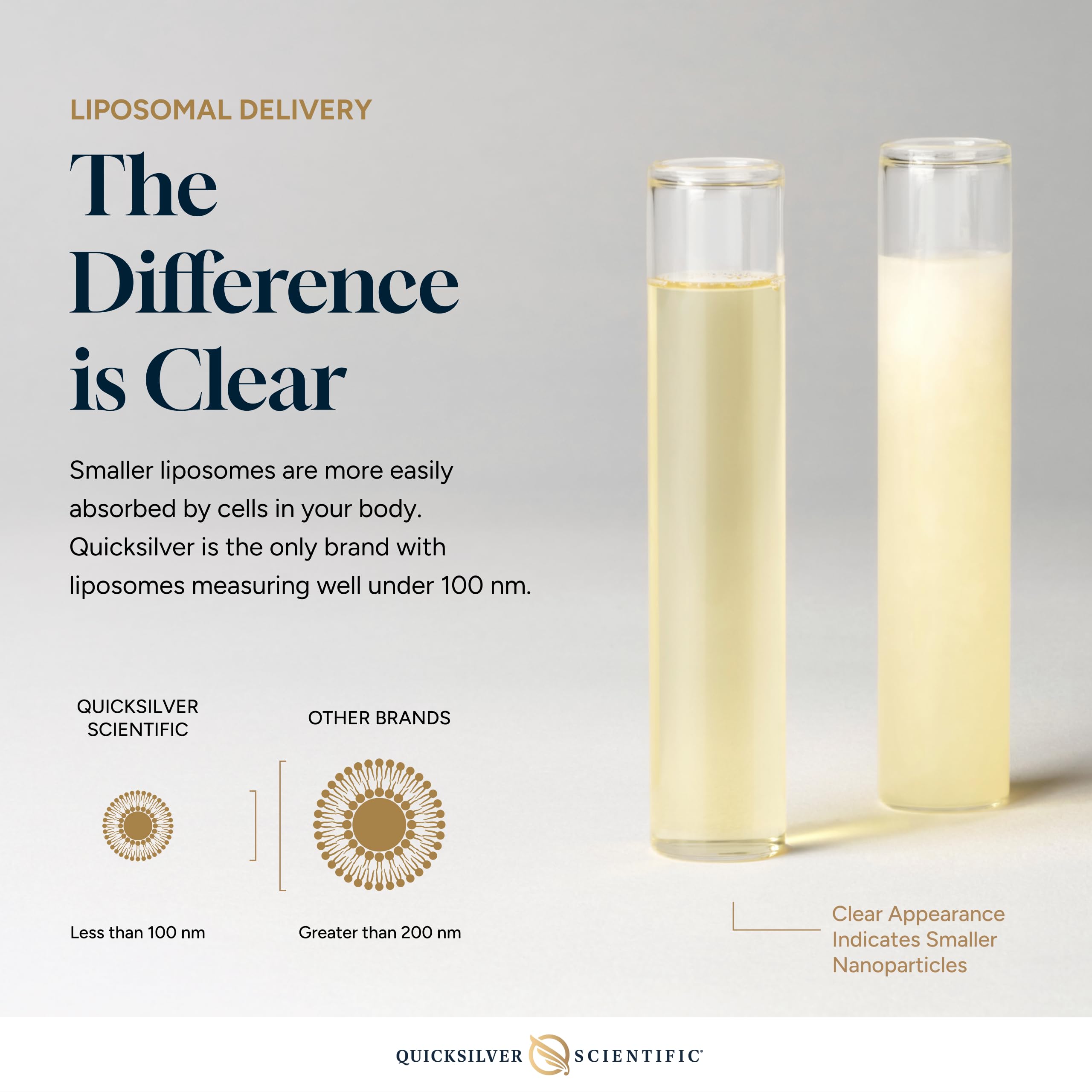 Quicksilver Scientific Liposomal GABA + L-Theanine Brain


