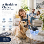 Air Freshener Diffuser with Essential Oils and Night Light


