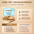 Cortisol Reducer with KSM-66 Ashwagandha

