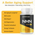 Enprotess Sublingual NMN 500mg Supplement | NAD Support

