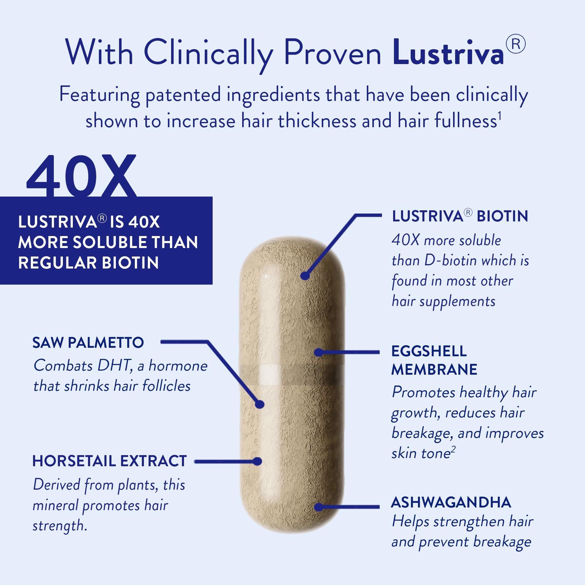 Routine Wellness Hair Growth Supplement Biotin and Nutrients

