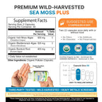 Sea Moss Plus Capsules Power By Naturals Organic Irish Moss

