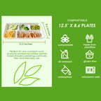 Vplus Sugarcane Fiber Paper Plates | Eco-Friendly

