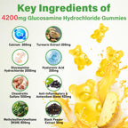Glucosamine Chondroitin Gummies for Joint Health | Easy Chew

