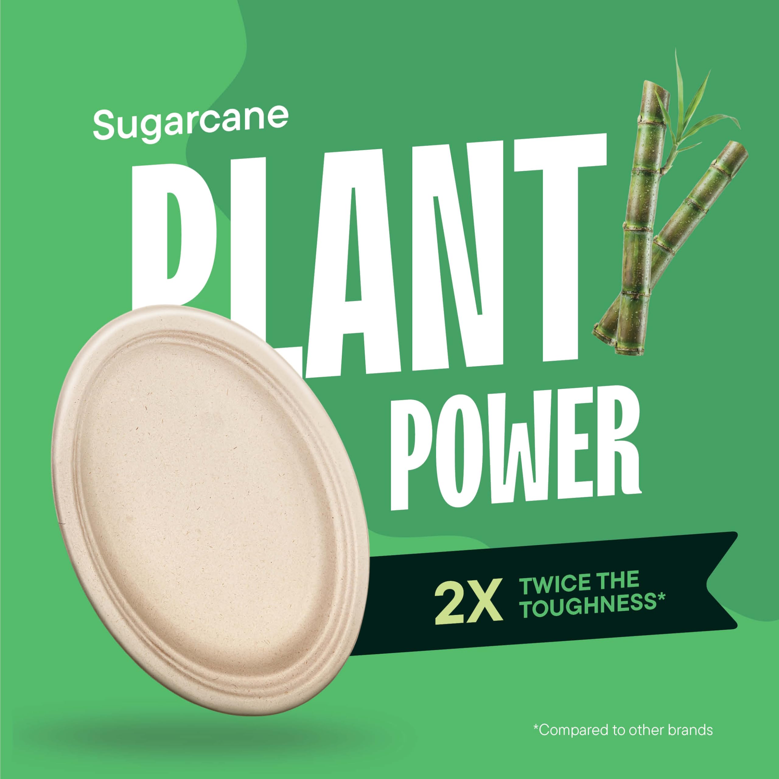 Bagasse Compostable Dinner Plates | Heavy-Duty Eco

