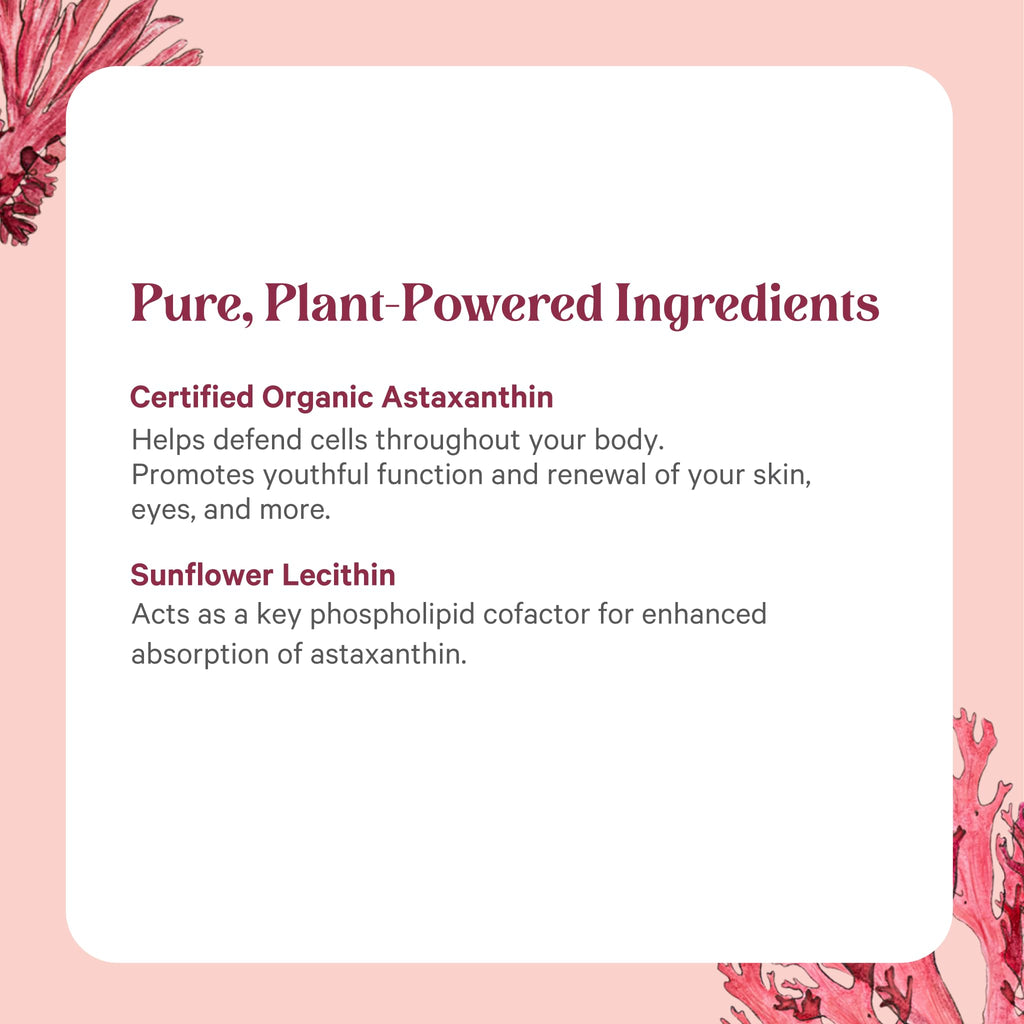 Pure Synergy Astaxanthin Extract | Organic Algae Antioxidant

